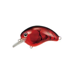 Shimano Bantam World Rush 56F Flash Boost - 